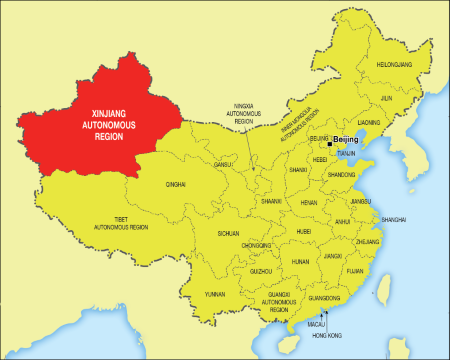 Tracking alleged ties to Uyghur forced labor