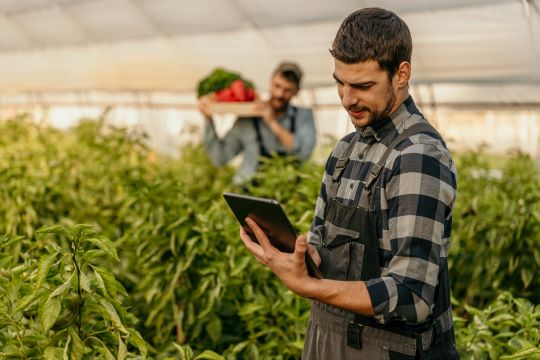 Connecting the dots between farming and business