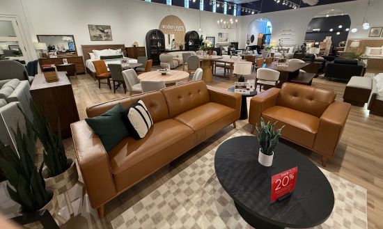 A deep dive into Elements International’s Modern Roots
