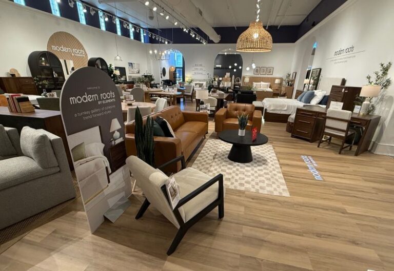 Moder Roots A deep dive into Elements International's Modern Roots - Home News Now