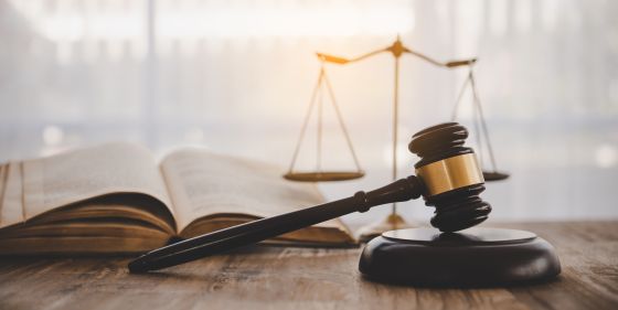 Wayfair 10-Q brushes off litigation